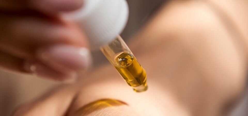 Desert Chic, F1 Scents, Indie Scripts, and Floral Perfume Drama: Hollywood’s New Obsessions Unleashed