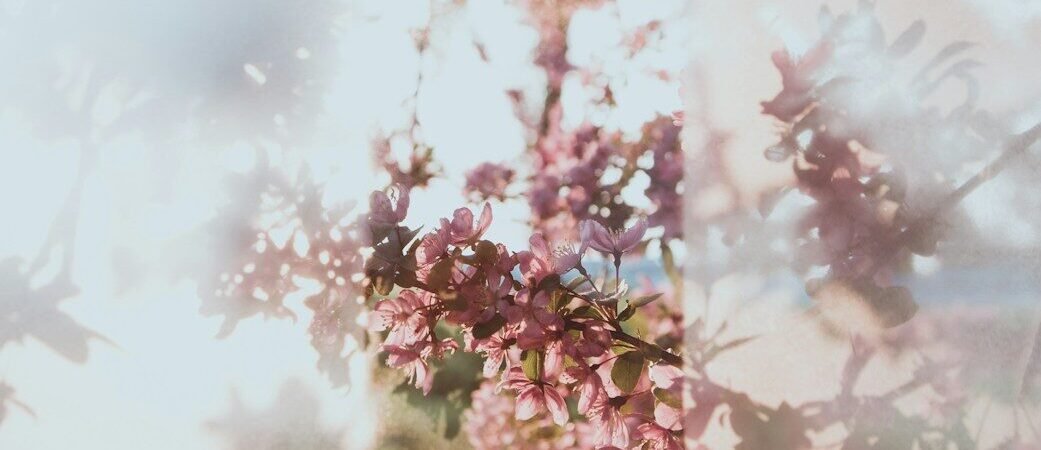 Lancôme Partners With ‘The Devil Wears Prada 2’, Philosophy Marks 30yrs, Seed to Skin Tuscany Restorative Collection, Dwayne Johnson Builds PAPATUI Into a Powerhouse & eOS Declares Gen Z’s Scent