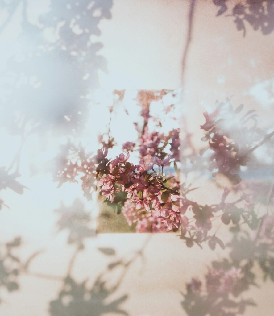green-leafed plant with pink flowers, beauty, cosmetics