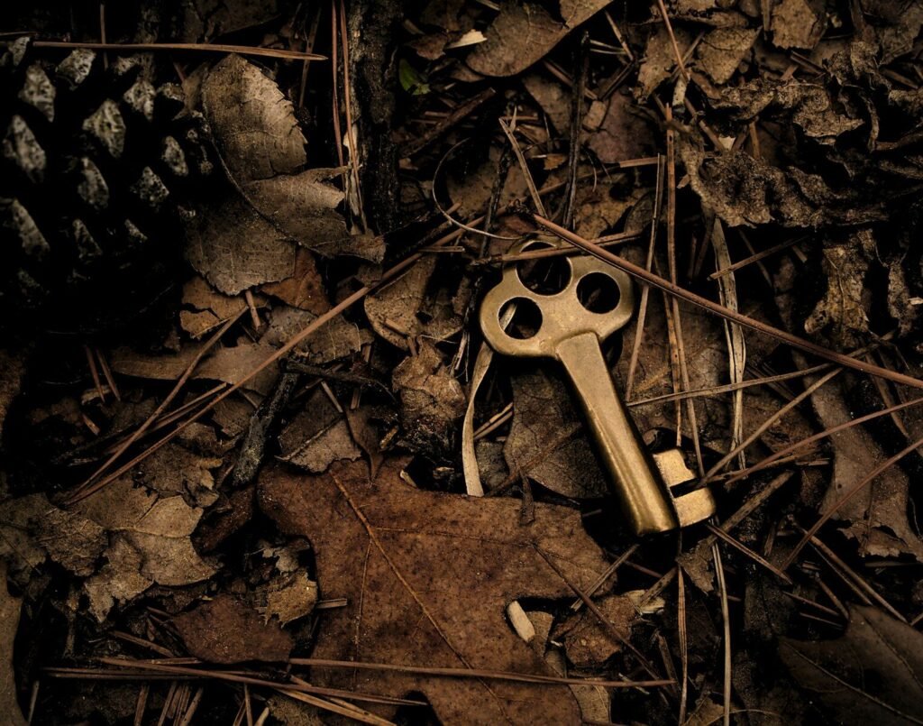 skeleton key surround with dry leaves, secret