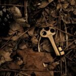 skeleton key surround with dry leaves, secret