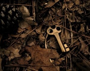 skeleton key surround with dry leaves, secret
