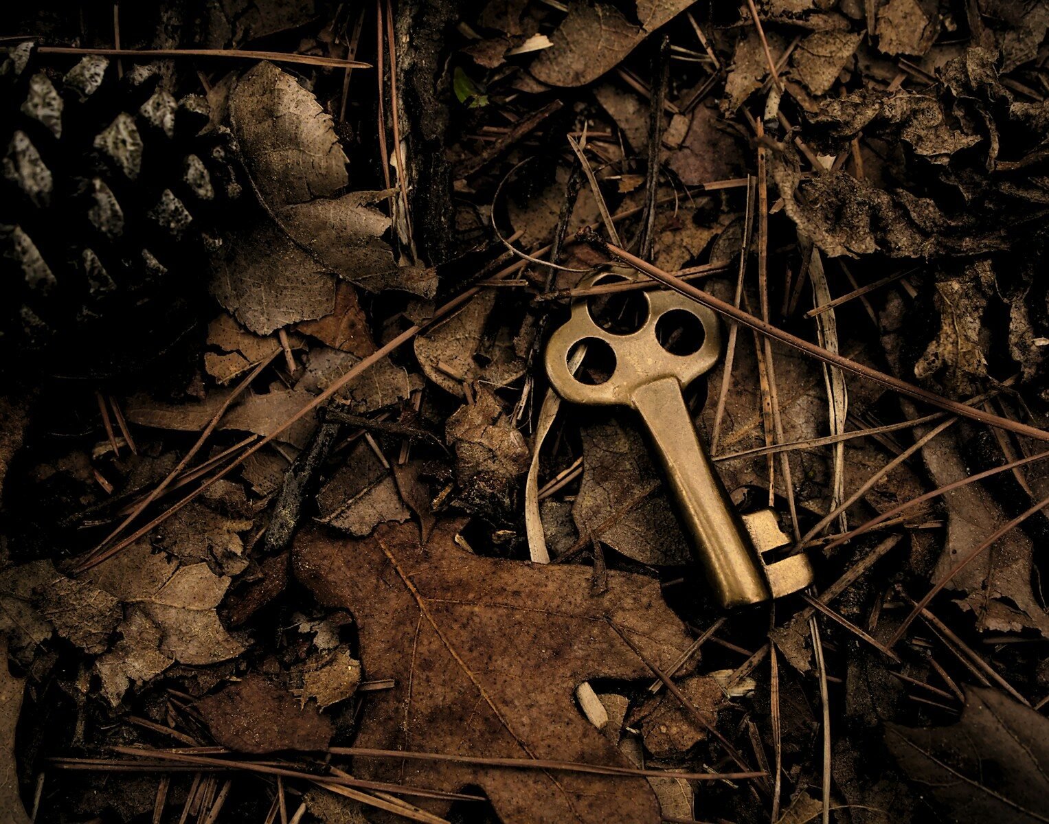 skeleton key surround with dry leaves, secret