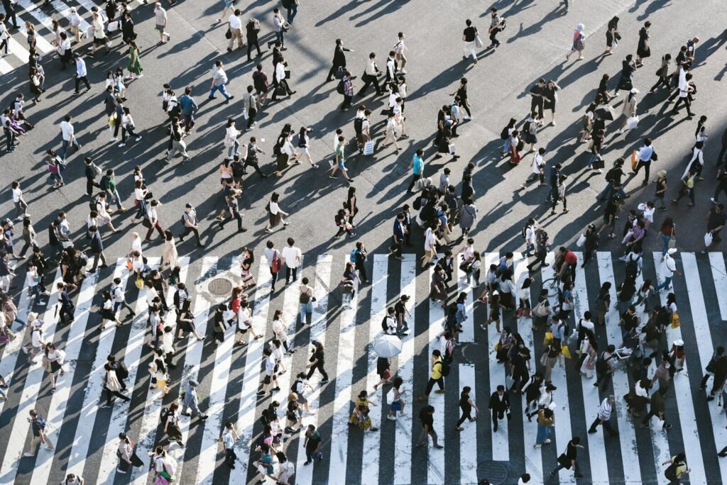 aerial view of people walking on road, society, celebrity, lifestyle, 