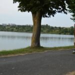 a man riding a skateboard down a road next to a lake